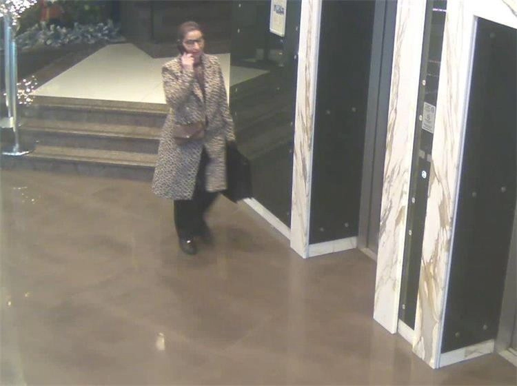 Zagrebačka policija traži ovu damu u kaputu s leopard uzorkom: Ona je u centru Zagreba državljaninu BiH uzela 200.000 eura u kešu!?