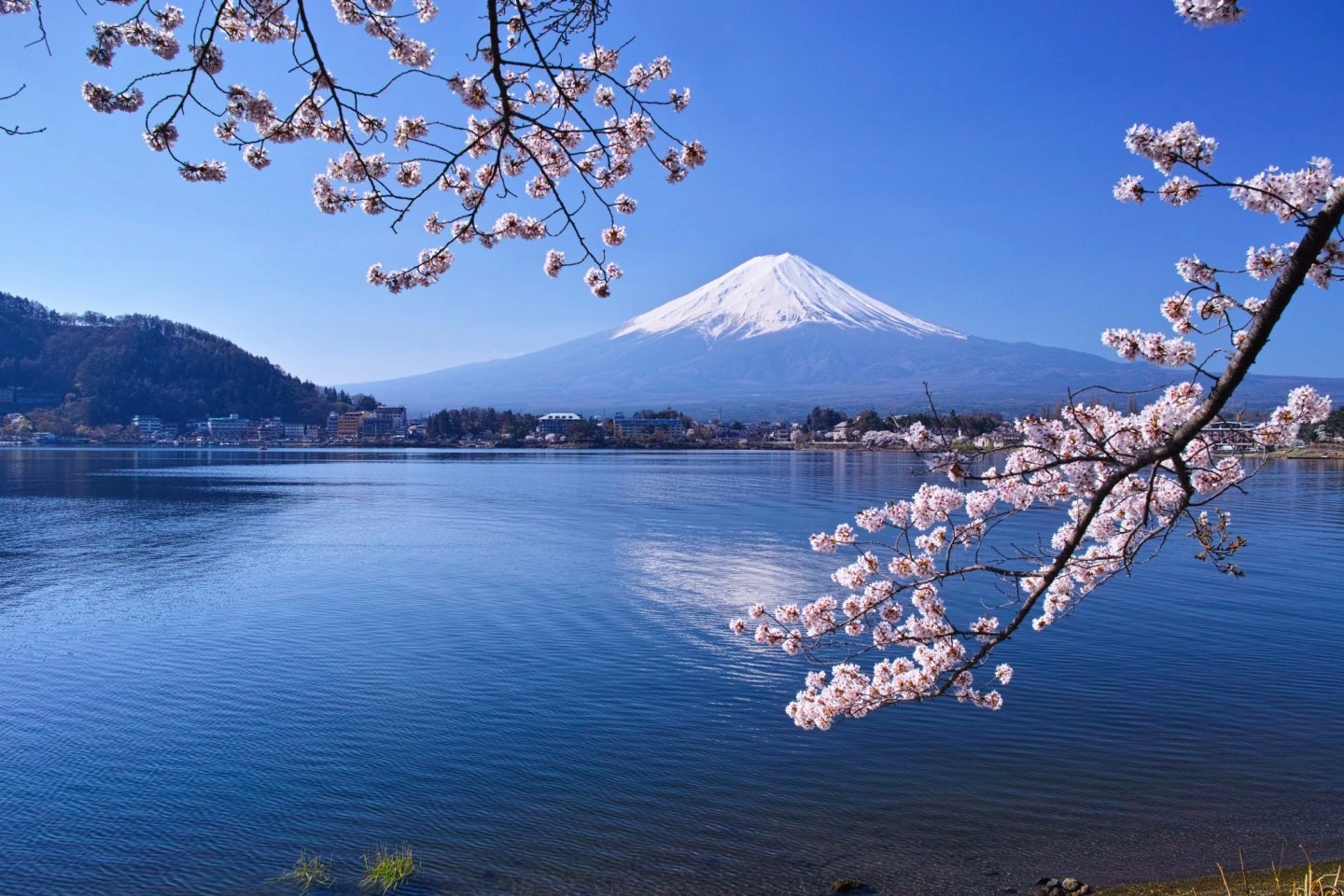 Gradić u Japanu podiže ogradu. Ne želi da turisti fotografiraju planinu
